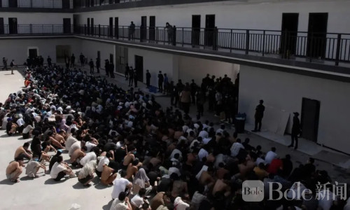 电诈清零倒计时：柬埔寨的政策“强心剂”何时到来？