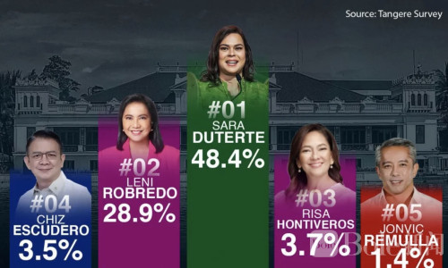 萨拉支持率飙升至48%，图尔福退赛或成助力