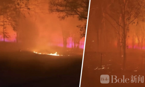 火海再现！泰国呵叻机场附近森林大火持续肆虐