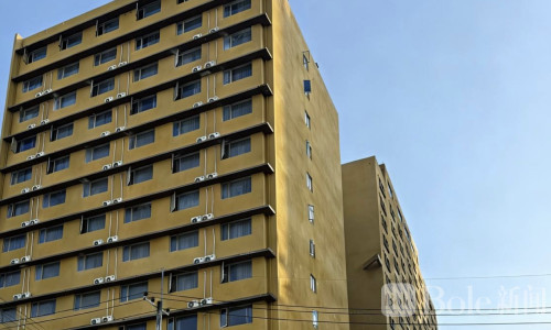 几百名中国狗推顶风作案，在西港酒店打野！