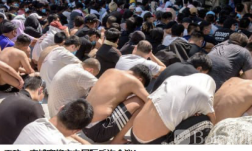 柬埔寨主办国际反诈大会！推动全球联手打击跨国诈骗