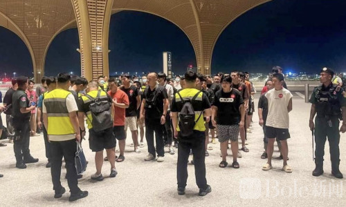 深夜集中遣返！柬埔寨一次送回331名中国狗推