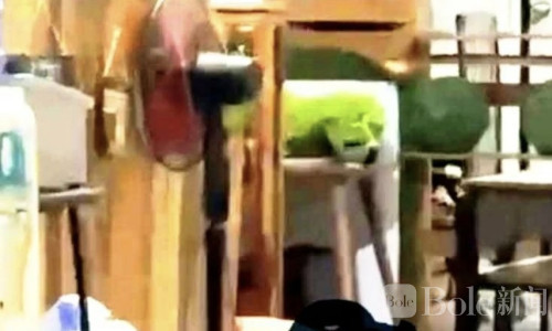 八打雁省酒吧老板遭枪杀 警方紧急追捕凶手