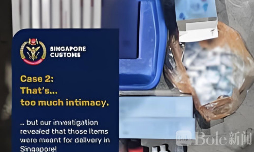 新加坡严打走私烟！4名中国人被一锅端，最高被判6年