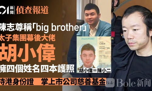 陈志只是台前？胡小伟逐步浮出水面，真正操盘者现形！