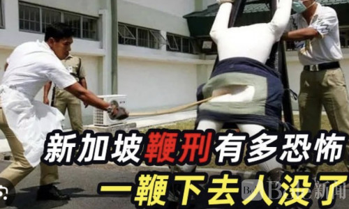 新加坡全国扫骗行动收官！208人被查涉案金额超600万美元