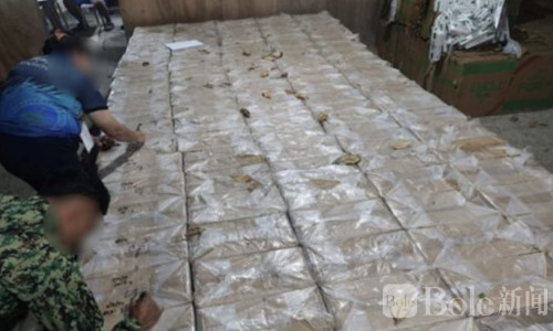 破获超20亿比索走私香烟案！PNP全面出击打击非法烟草