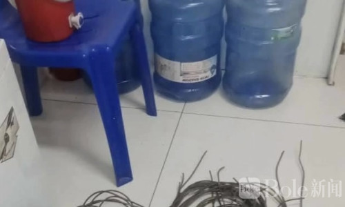 光天化日下偷信号灯电缆！奎松市男子当场落网