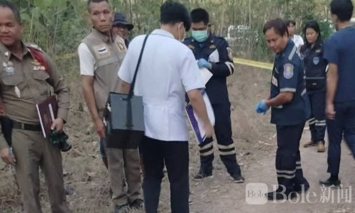 为给儿子筹钱出家修行，泰国母亲深夜抓青蛙却惨遭枪杀