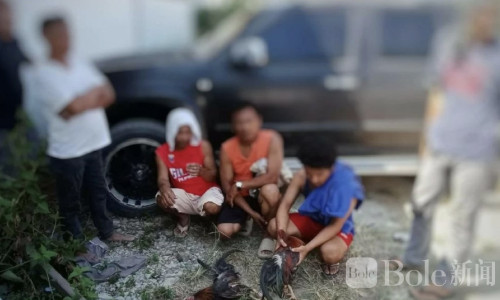 圣周又抓斗鸡！宿务警方两天拘79人，查获近两万比索