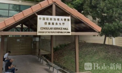 护照丢失情绪失控，中国青年在新加坡机场袭警被判6周！