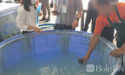 泰国突查“假椰子水”黑作坊：清水加香精竟卖成椰汁！