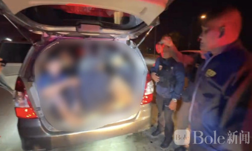 泰国阿育他亚查获非法缅籍劳工，14人挤满皮卡