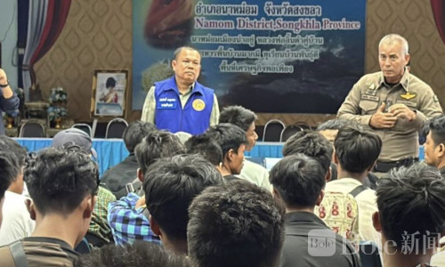 80名缅甸劳工藏匿丛林被抓，疑遭蛇头弃置避查