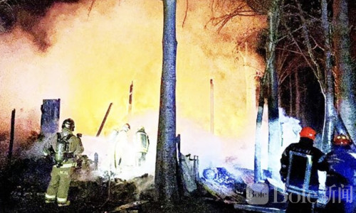 泰国仓库突发大火，17只幼犬不幸葬身火海