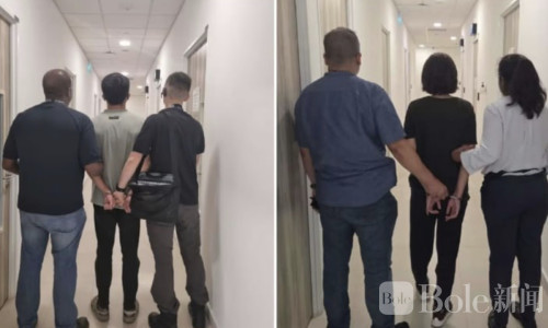 最小19岁也参与！新加坡诈骗团伙20人被一锅端