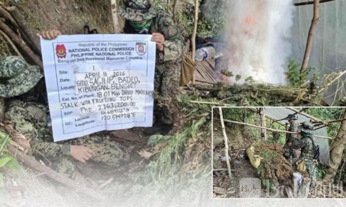 菲律宾一周烧掉2280万比索大麻！大毒贩也落网