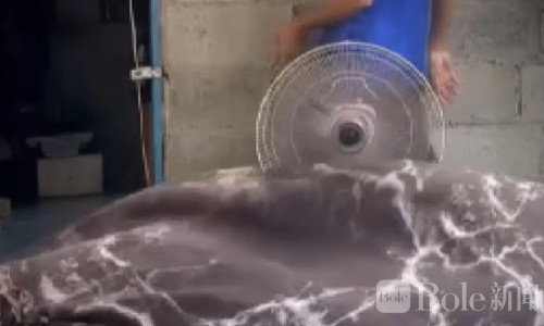 泰国邦巴功血案震惊社区，女子遭砍颈身亡同住男子涉案调查