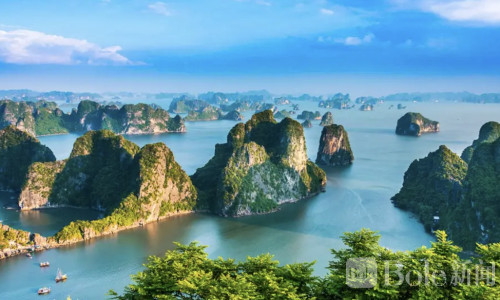 越南入境新规落地！不提前申报，机场可能排队到怀疑人生