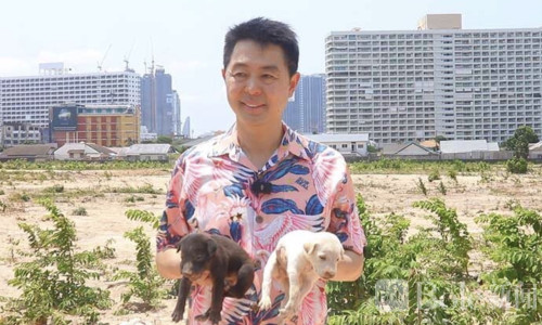 30只狗被困荒地求生！芭提雅政府出手：10天内全部救出