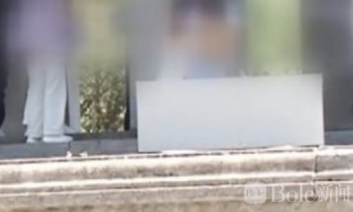 非法导游持旅游签？多名中国人斯里兰卡违规从业被捕