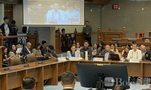 菲律宾政坛大动作！副总统萨拉弹劾进入参议院准备阶段