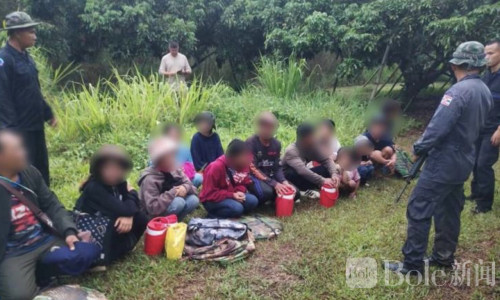 美军协同泰方突击行动，泰柬边境14名非法劳工被捕