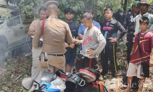 采“五月蜜”变夺命，泰国男子采蜜遭蜂群围攻坠树身亡引关注