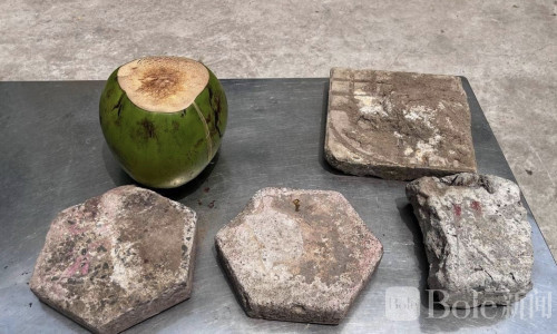 金边青年暴力砸车被捕，11人移送法院警方追查幕后煽动者