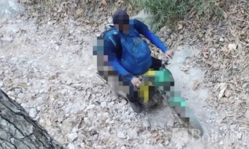 泰国碧武里森林起火烧毁5000莱，野牛惨遭猎杀曝光