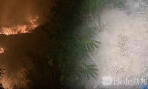 山火竟是人为？泰国北碧惊现盗金团伙纵火掩护非法淘金