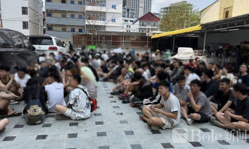 波贝反诈行动升级逮捕，300多狗推落网外籍占多数