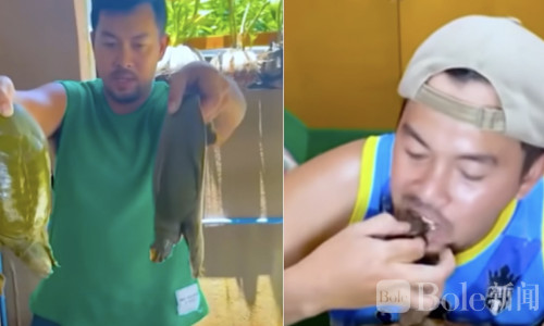 入侵物种变美食？中华鳖在菲律宾被端上餐桌引争议