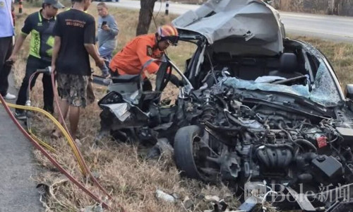 泰国27岁女子清晨驾车撞树身亡，疑疲劳驾驶酿惨剧