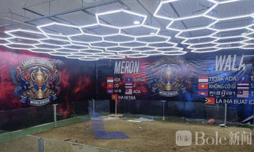 菲律宾警方突袭捣毁大型“网络斗鸡”窝点，30人落网！