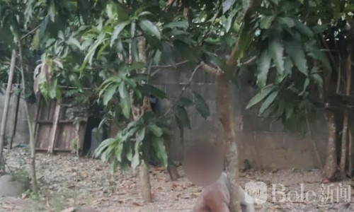 泰国普塔隆村长涉暴力拘禁男子，铐芒果树殴打4小时