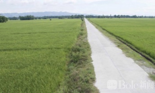 菲律宾农业部出手稳粮价，补贴农渔民应对油价冲击