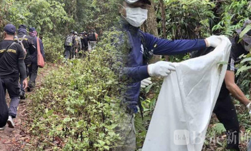 进山失踪8天：泰国男子遗体终被找到，疑遭野象袭击