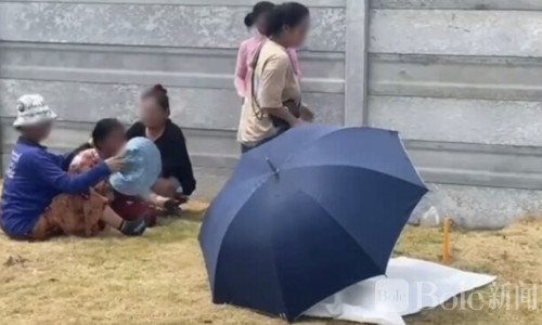 泰国两岁男童追狗跌入水塘溺亡，父亲跳水救援仍未能挽回