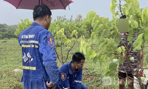 雷雨天勿轻忽！泰国51岁男子雨中施肥遭雷击身亡