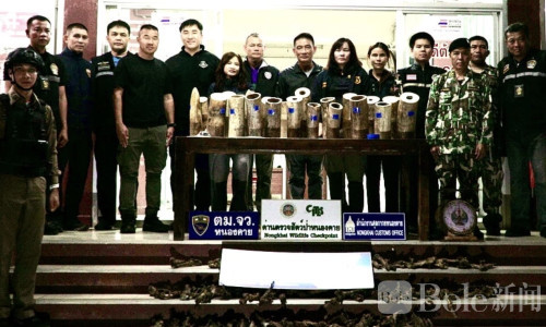 泰国边境突袭走私团伙！130公斤象牙在湄公河被截获