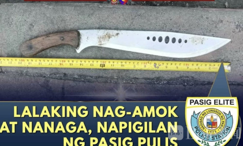 菲男子持刀追砍路人，拒捕袭警后被警员开枪打死！