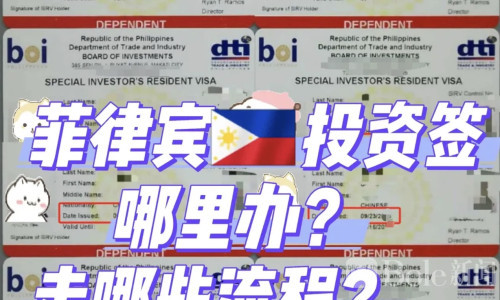 在菲律宾被查怎么办？五类长期签证选择指南来了