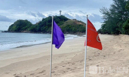 葡萄牙战舰水母现身泰国海滩，游客被紧急警告