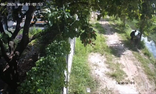 外籍情侣遗弃新生儿致死案告破，泰国警方火速收网！