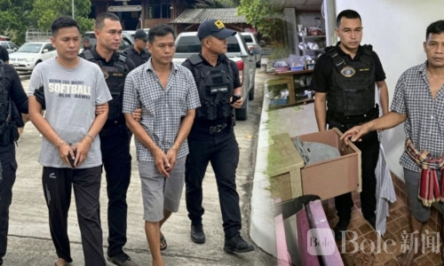 百万赌局黑幕曝光！两赌徒给斗鸡下药当场被捕