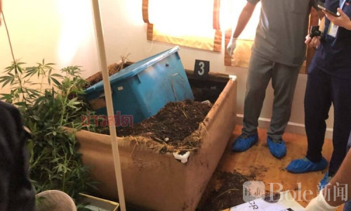 血迹满屋！泰国男子被刺后竟被塞进塑料箱藏尸