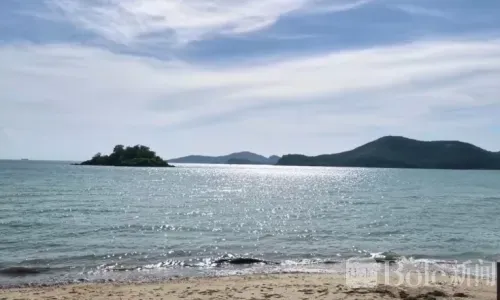 突发！春武里海滩发现腐烂男尸，身份成谜