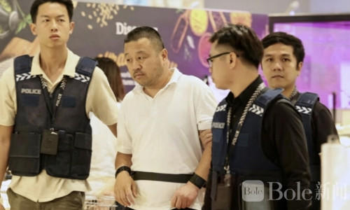 中国籍盗窃团伙飞赴新加坡作案，假借拍照偷走名牌包！