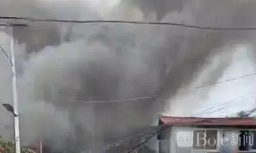 突发！奎松市居民区燃起熊熊大火，滚滚浓烟笼罩整片社区